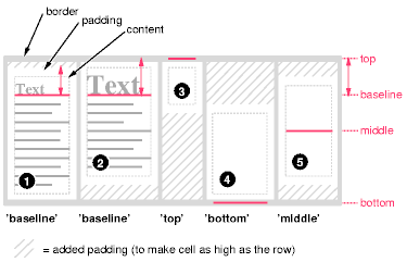 Example of vertically aligning the cells